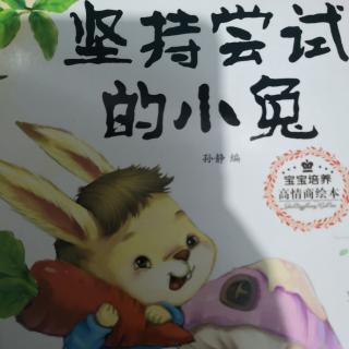 坚持尝试的小兔