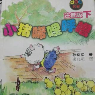 小猪唏哩呼噜•小猪上学记1