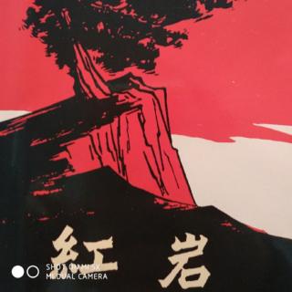 《红岩》9——17页