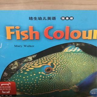 Fish colors
