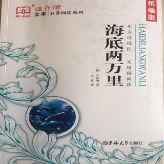 《海底两万里》：种类不明的鲸鱼