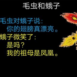 毛虫和蛾子