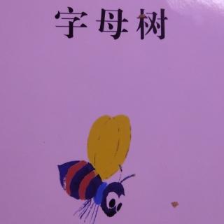 字母树，张晗希，668