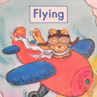 flying词4