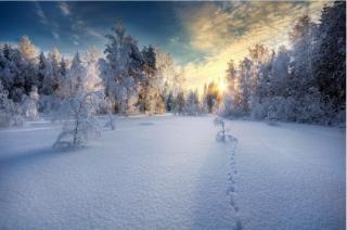 林清玄  煮雪