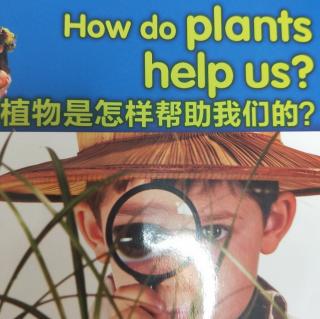 How     do     plants     help     us？