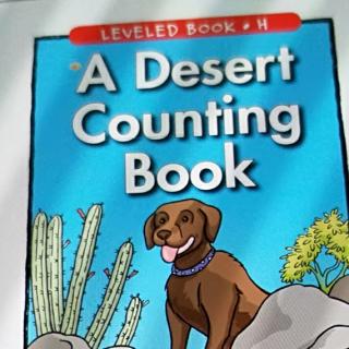 A desert counting book