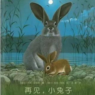 园长妈妈晚安故事《再见，小兔子》下