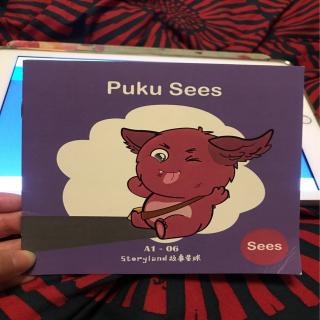 Puku Sees