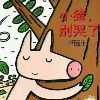 《小猪别哭了》