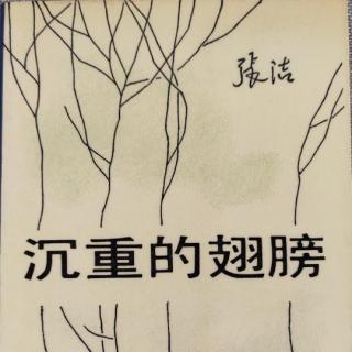 《文学连载<沉重的翅膀>》3