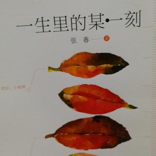 丁丁和苋菜