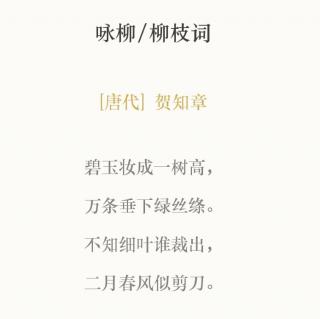 咏柳柳枝词贺知章