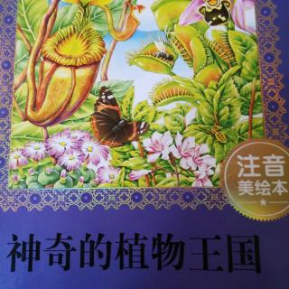 神奇的植物王国.