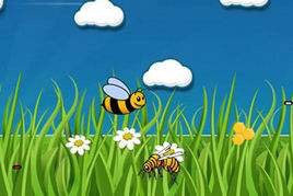 小蜜蜂找朋友