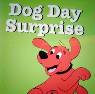 Dog Day Surprise
