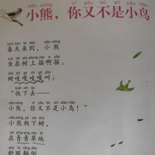 小熊，你又不是小鸟