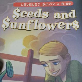 Alana-20200212-Seeds and sunflowers-R