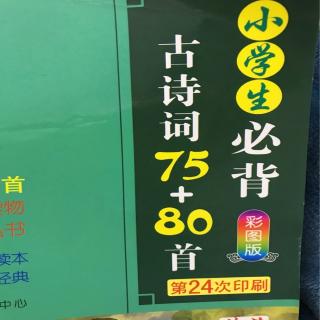 小学生古诗75+80