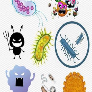 超级细菌王国