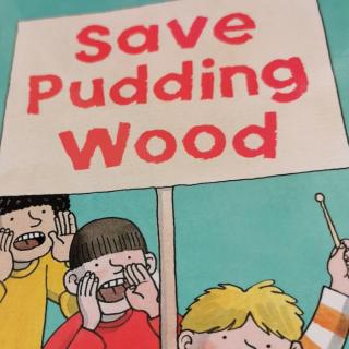 save pudding wood