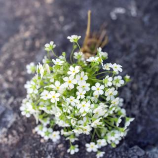 《夏天往事》