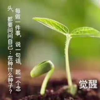 《因果法则》第三章：上部