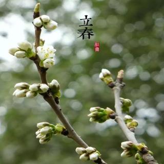 4．春（节选）