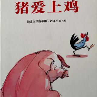 《猪爱上鸡》——主播焦美美馆长