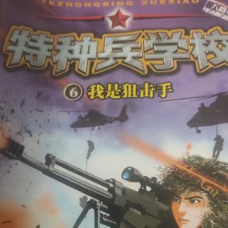 特种兵学校——我是狙击手2