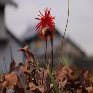 分享陈海贤《了不起的我》课题分离