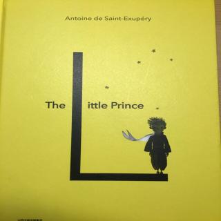 The Little Prince 8