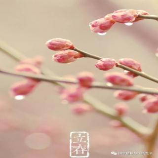 5.小鹿的玫瑰花