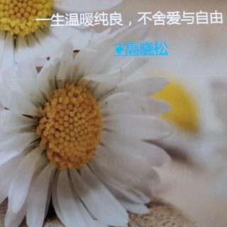 《永远太遥远，不如珍惜每一天》∥香袭书卷