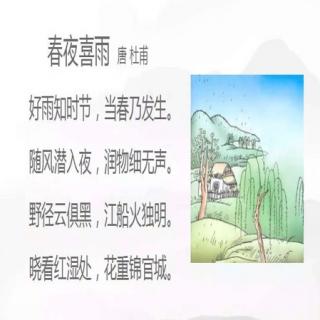 每日一诗:春夜喜雨