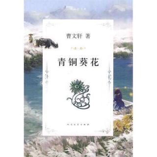 《青铜葵花》第三章 老槐树2