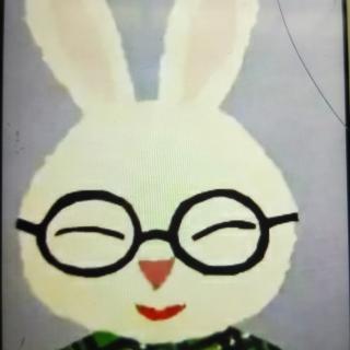 眼镜兔子