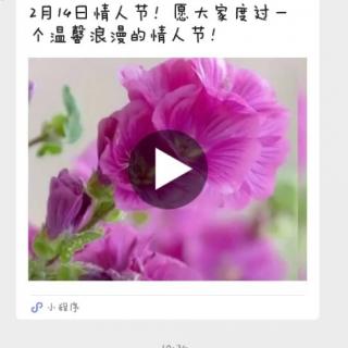 《指南》艺术领域子领域(二)表现与创造。胡桂廷