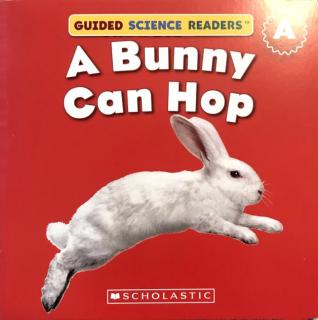 A Bunny can hop