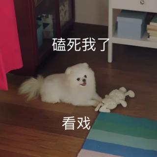 刘惜君-不过是爱情《独家记忆》主题曲