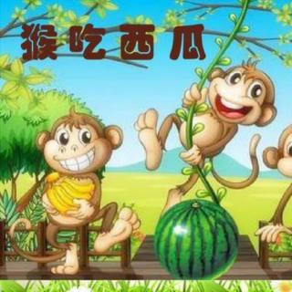 🐵猴吃西瓜🍉