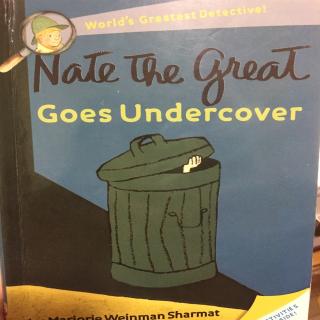 Nate the great Undercover2⃣️