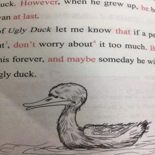 When Ugly Duckling Grew UP