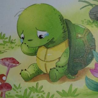 小乌龟的烦恼