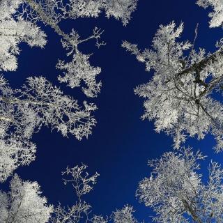 今日雨夹雪   作者听雪   诵读乔红艳