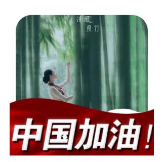 庚子春节，我们以祖国的名义