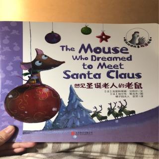 想见圣诞老人的老鼠