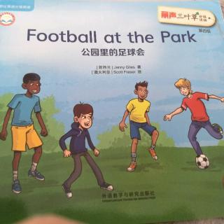 Football  at  the  Park