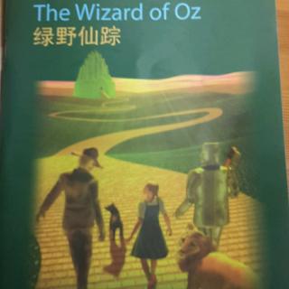 The Wizard of Oz  (1----9)