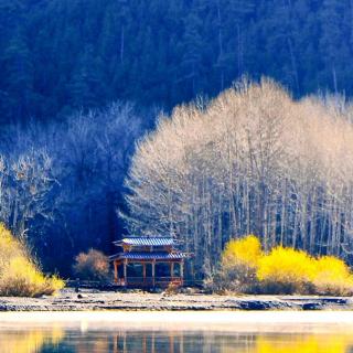 每日学经典《中庸》节选